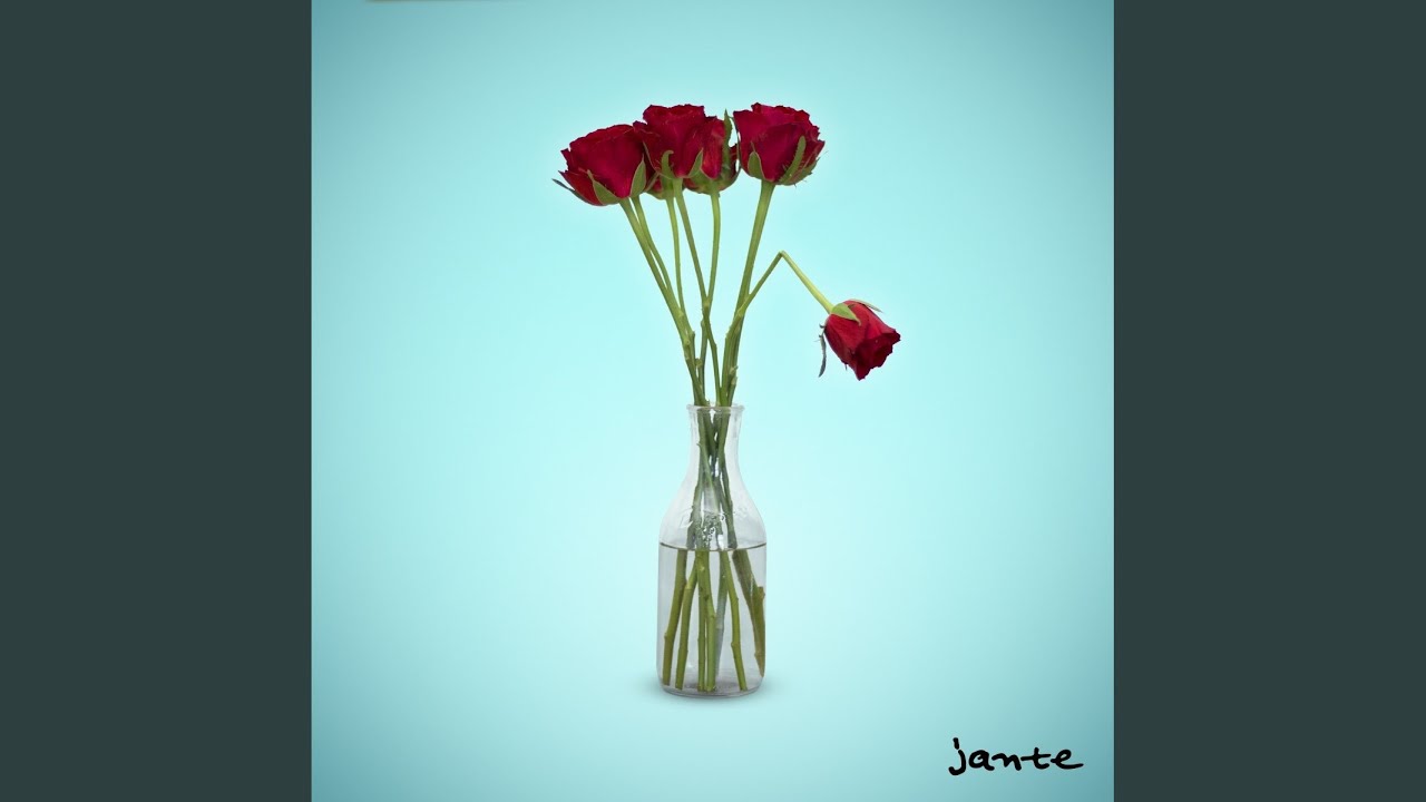 Video starten: JANTE – Du bist schuld