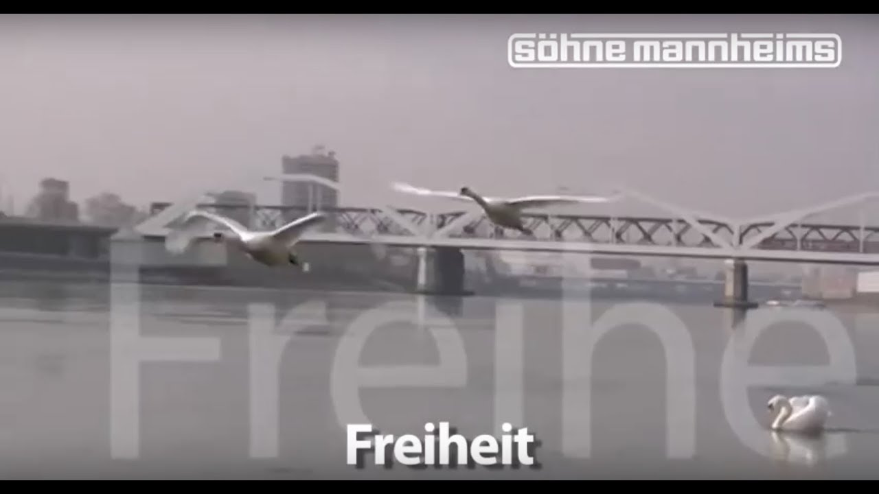 Video starten: Söhne Mannheims – Freiheit