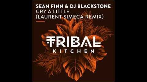 Sean Finn & DJ Blackstone – Cry a Little (Laurent Simeca Remix)