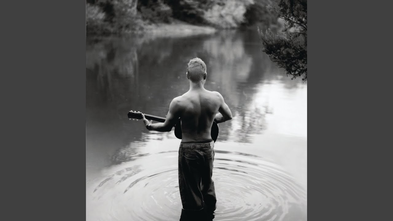Sting – Fields Of Gold