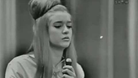 The Shangri-Las – Leader Of The Pack