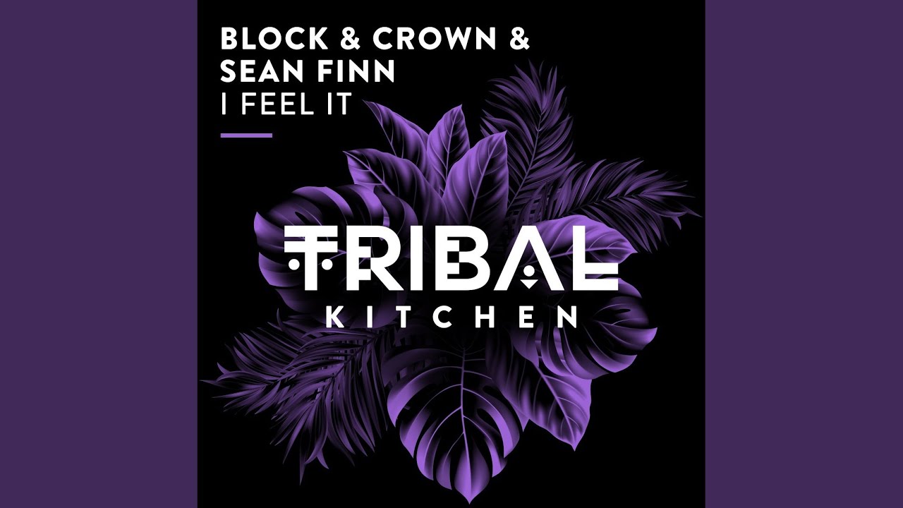 Video starten: Block & Crown, Sean Finn – I Feel It