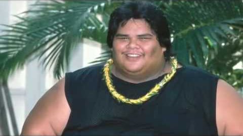 Video starten: Israel „IZ” Kamakawiwo'ole – Wonderful World