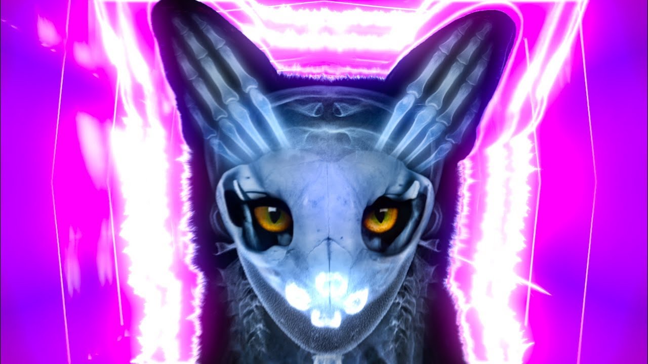 Galantis feat. OneRepublic – Bones