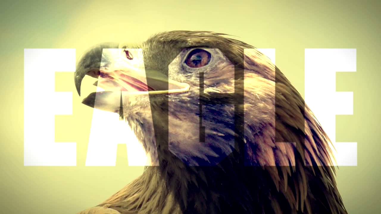 Felix Jaehn feat. Lost Frequencies & Linying – Eagle Eyes