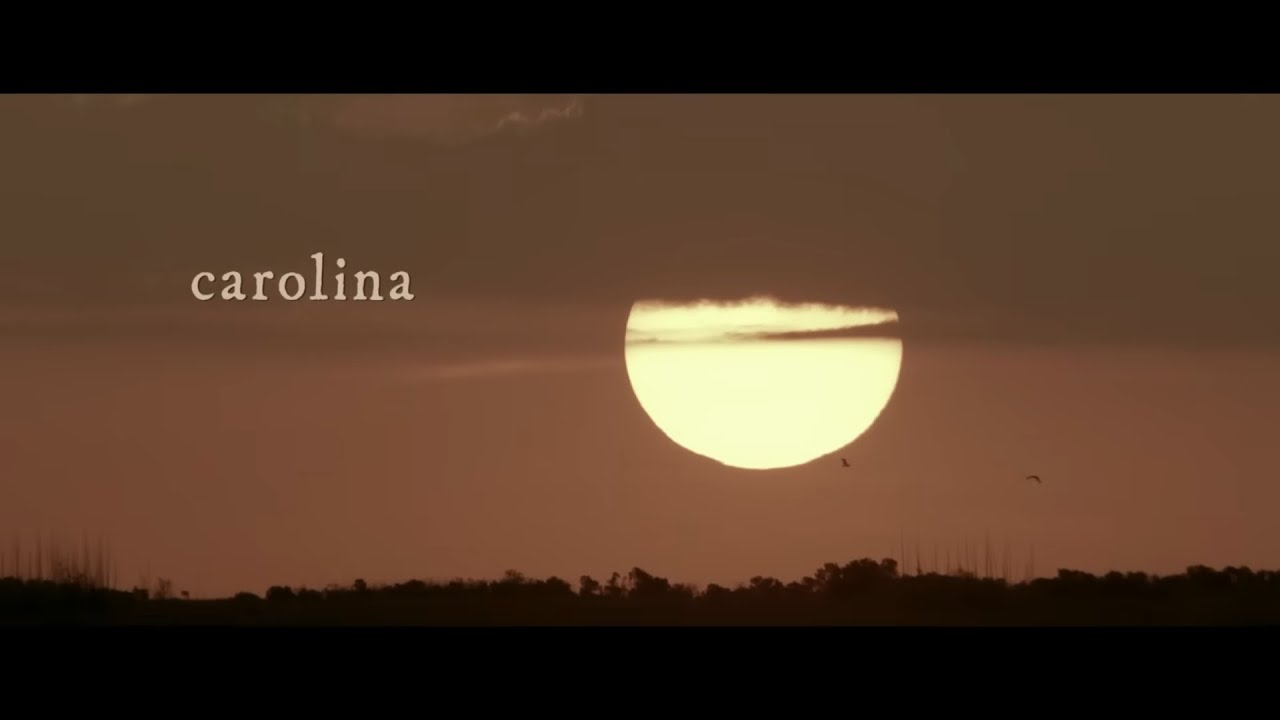 Video starten: Taylor Swift – Carolina  (From The Motion Picture 'Where The Crawdads Sing')