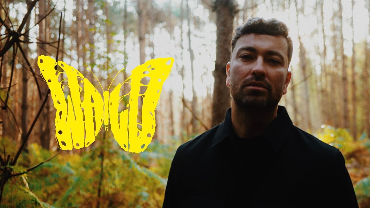 Video starten: Marteria – Wald
