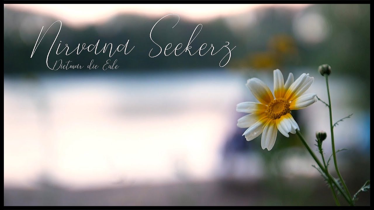 Nirvana Seekerz – Dietmar die Eule