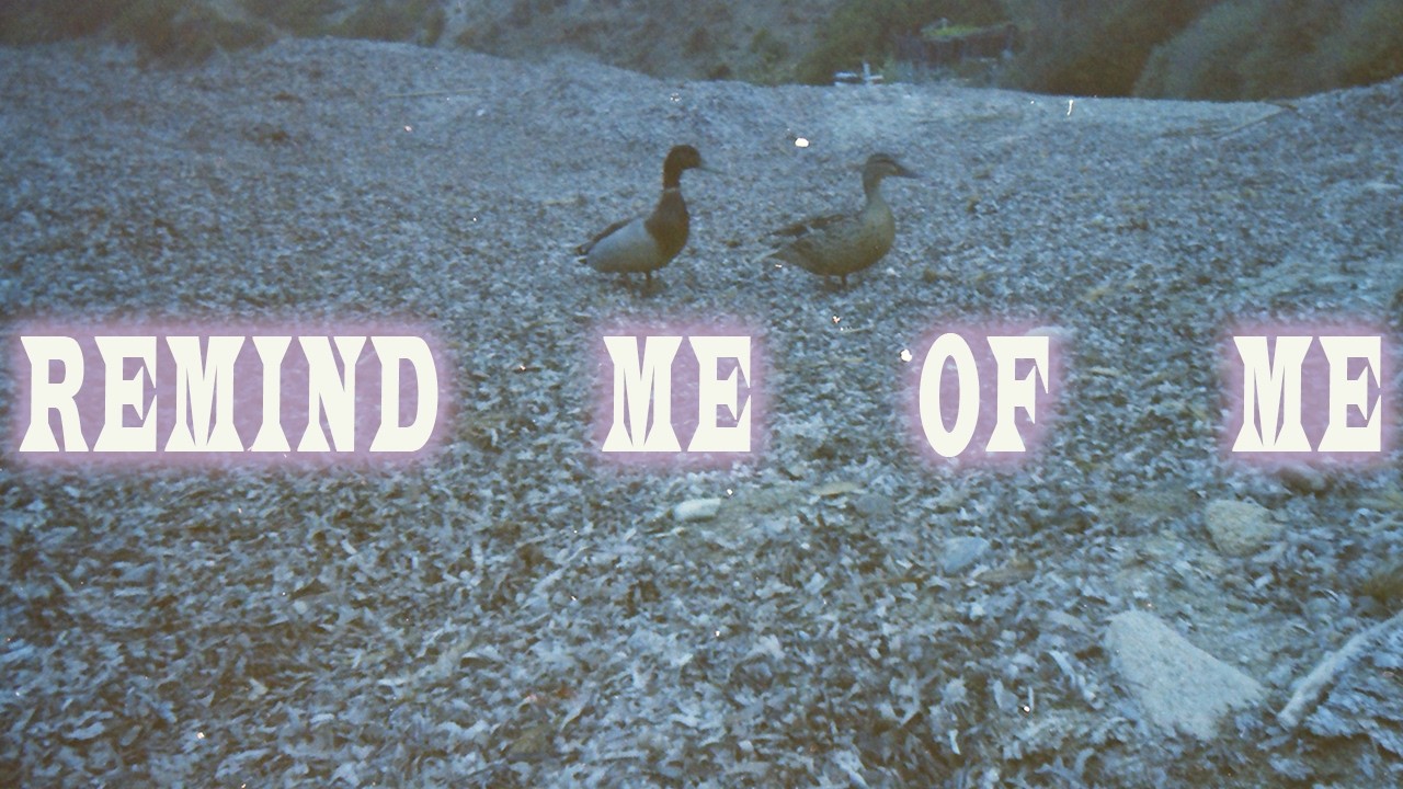 Video starten: Florence Besch – Remind Me of Me