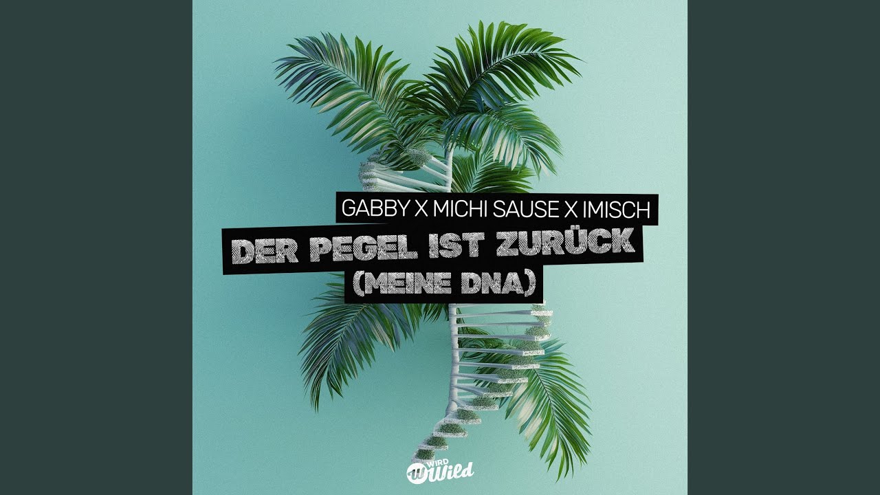 Video starten: Gabby x Michi Sause x Imisch – Der Pegel ist zurück (meine DNA)