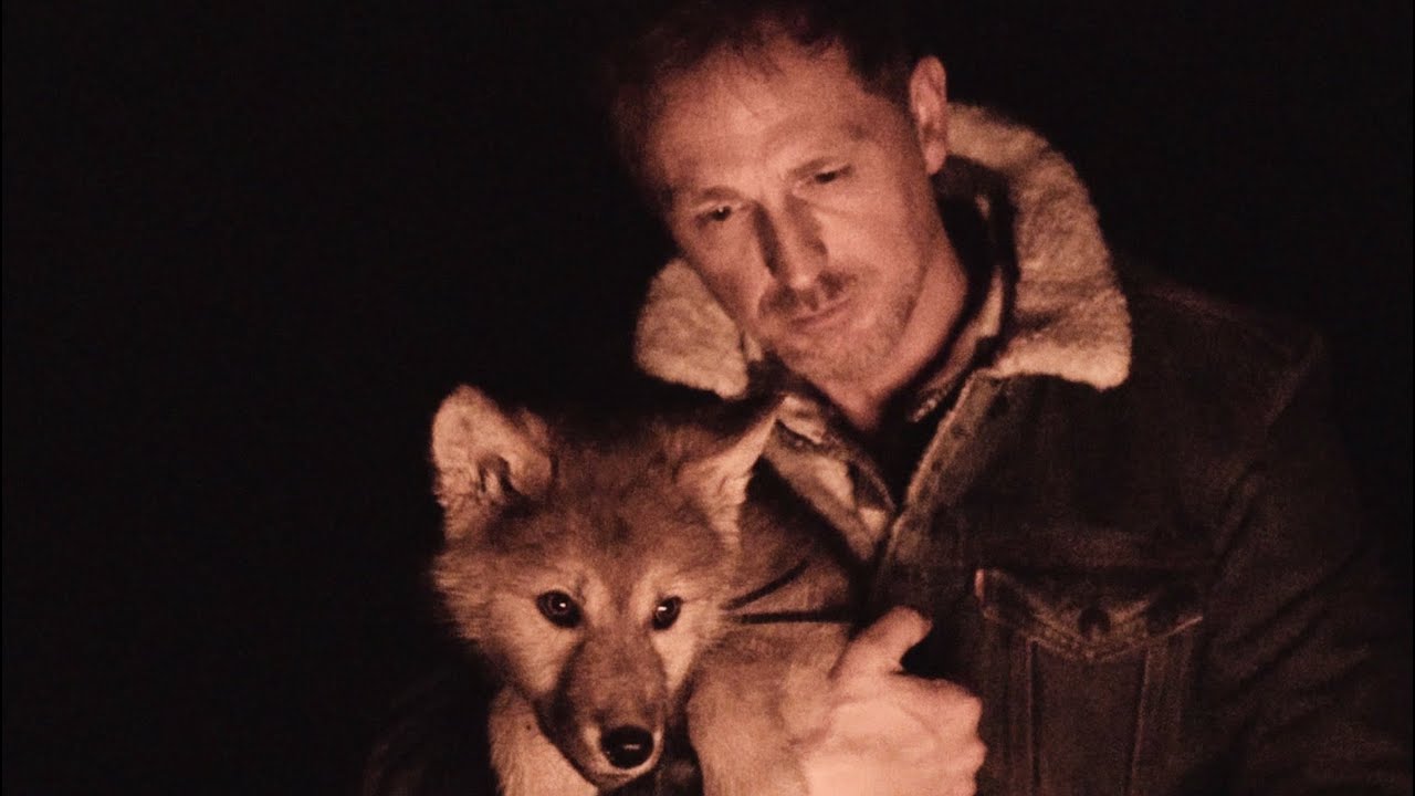 Jörg Bausch – Wie ein Wolf in der Nacht (2019)