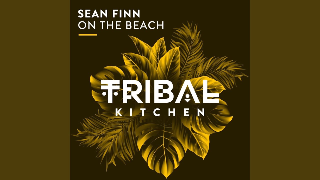 Video starten: Sean Finn – On The Beach