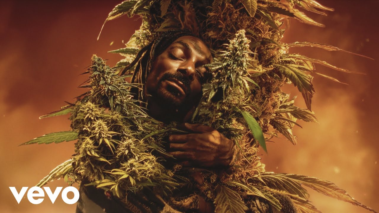 Video starten: Snoop Dogg feat. Tom Petty & Jelly Roll – Last Dance with Mary Jane