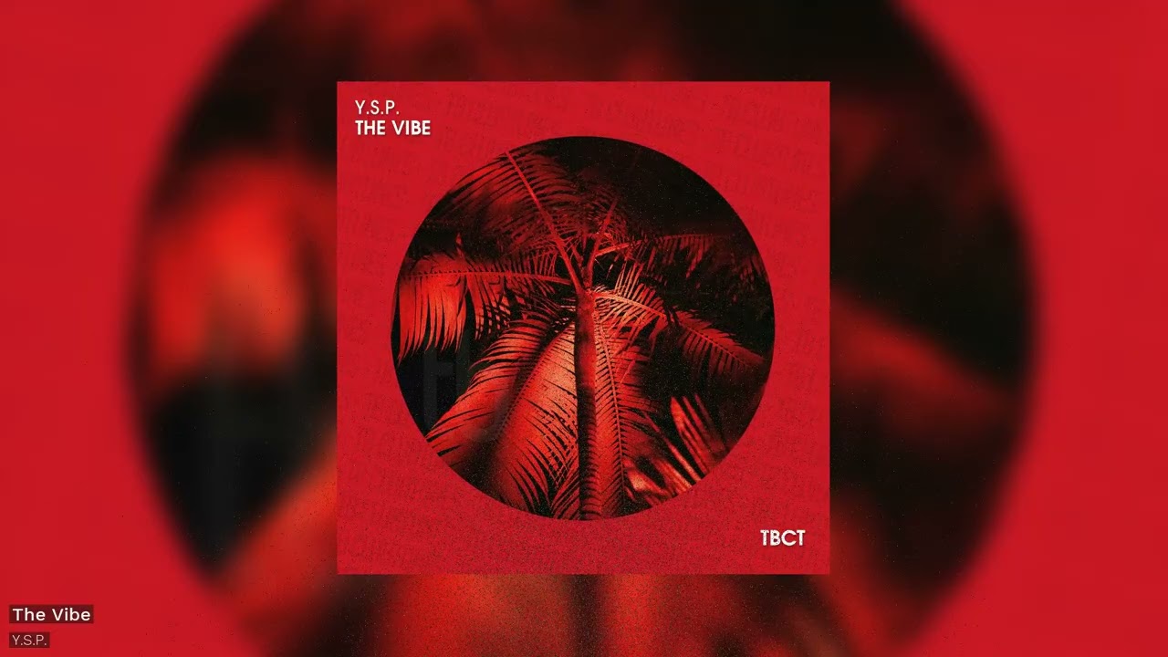 Video starten: Y.S.P. – The Vibe