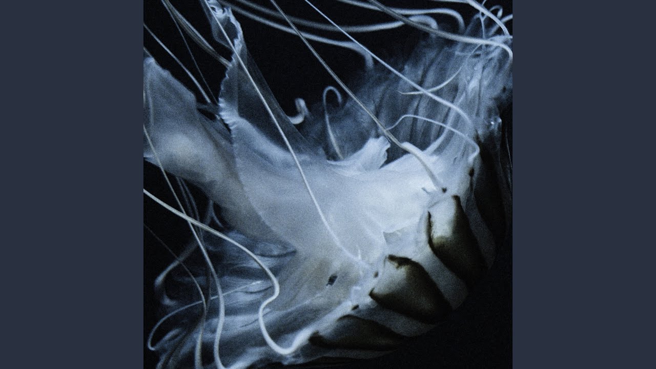 The Horrors &ndash; Night Life