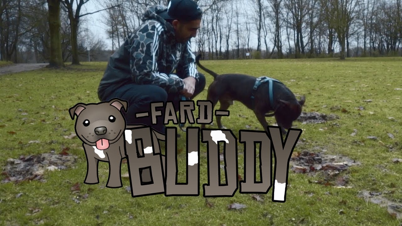 Fard – Buddy