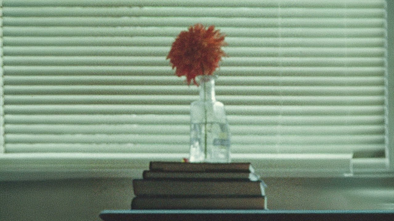 SYML &ndash; Nobody Lives Here