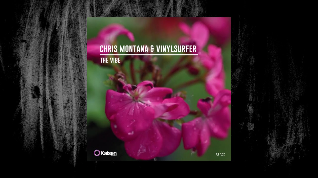 Chris Montana & Vinylsurfer – The Vibe