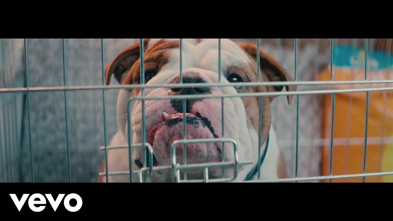 DJ Fresh vs. Diplo feat. R. City, Selah Sue & Craig David – Bang Bang