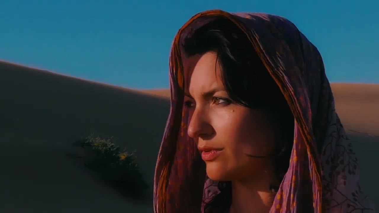Elena Shirin – INTER:STATES