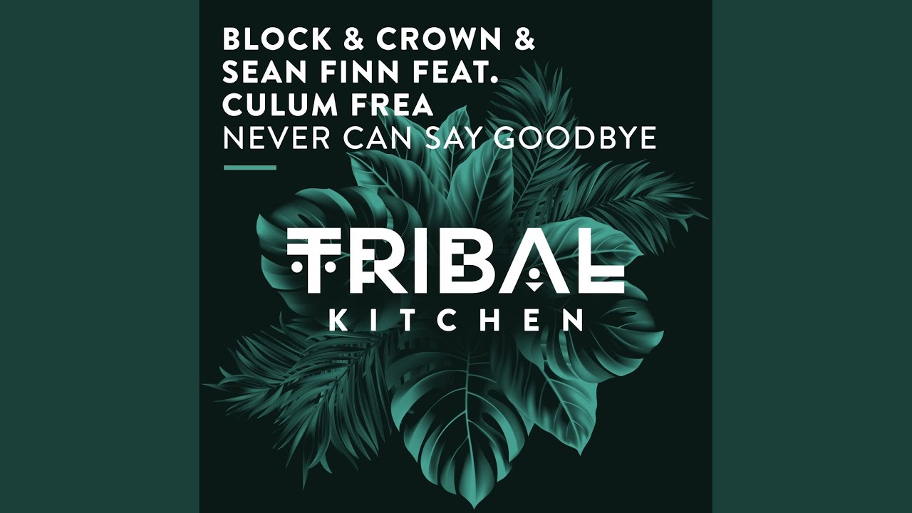 Block & Crown & Sean Finn feat. Culum Frea – Never Can Say Goodbye