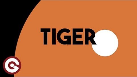 Spada vs. Prezioso – Tiger