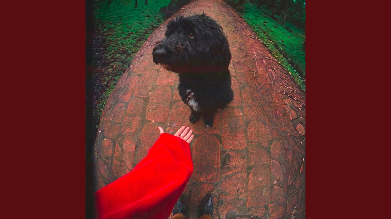 Gardens &ndash; The Biggest Dog You've Ever See