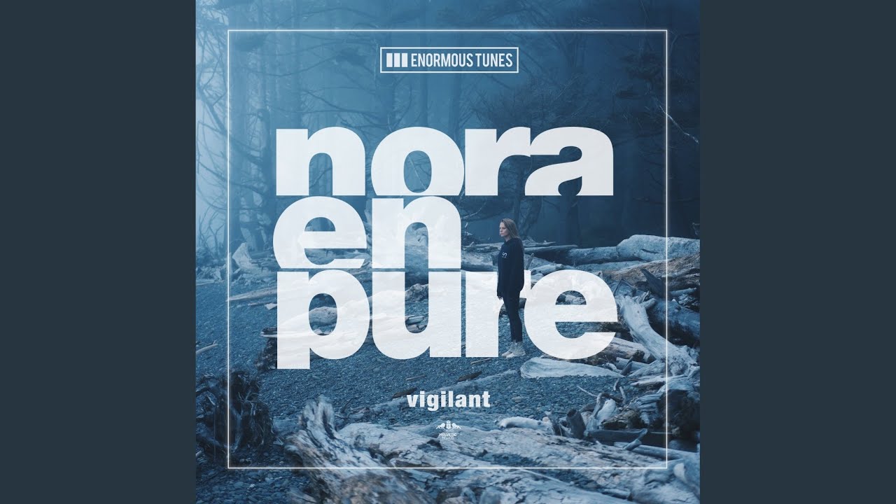 Video starten: Nora En Pure – Vigilant